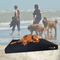 joodog TRAVEL – Hundebetten für Urlaubsgäste mit Schonbezügen zum Wechseln | joodog dog mats for hotels, vacation guests , Orthopädische Hundematte, Hundebetten Grosshandel, Wholesale.