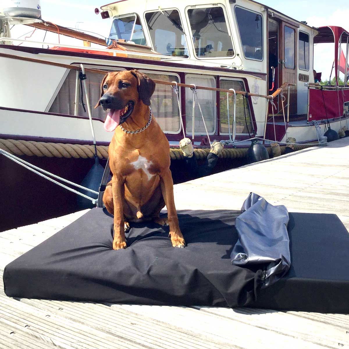 joodog YACHT - joodog YACHT – Spezialmatte für Boote und Yachten | Sonne und Salzwasser können kommen, Orthopädische Hundematte, Hundebetten Grosshandel, Wholesale.