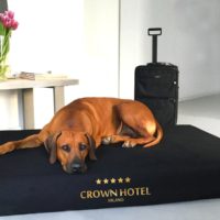 joodog TRAVEL Hotel - Spezialmatten mit Schonbezügenr | Special dog mat for hunter, Orthopädische Hundematte, Hundebetten Grosshandel, Wholesale.